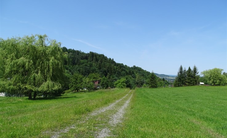 działka na sprzedaż - Goleszów, Cisownica